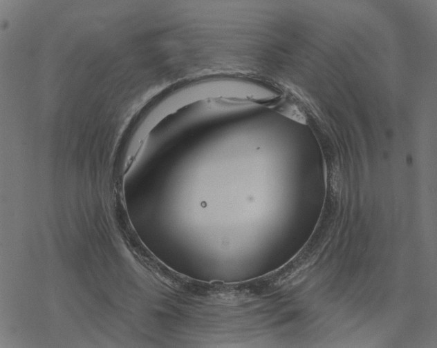 X0000078260540200612011657