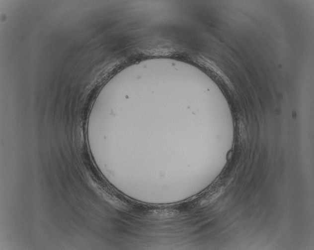 X0000078260541200612011657