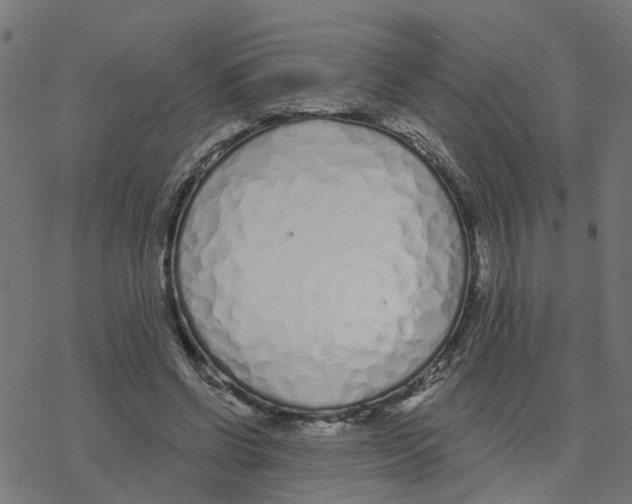 X0000078260542200612011657