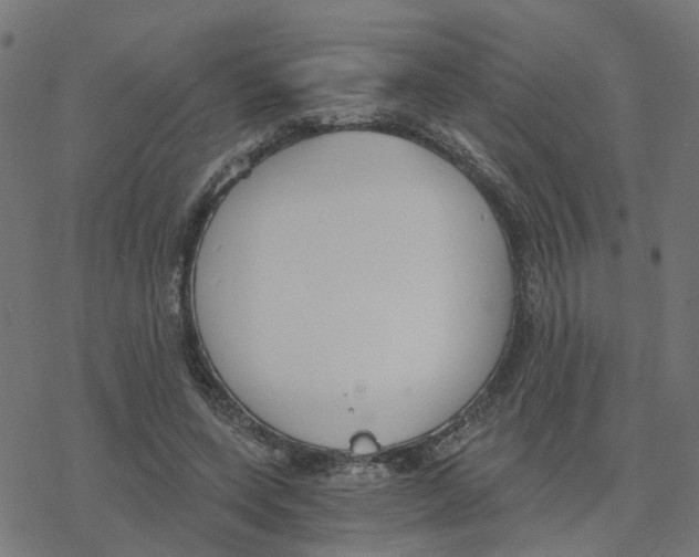 X0000078260543200612011657