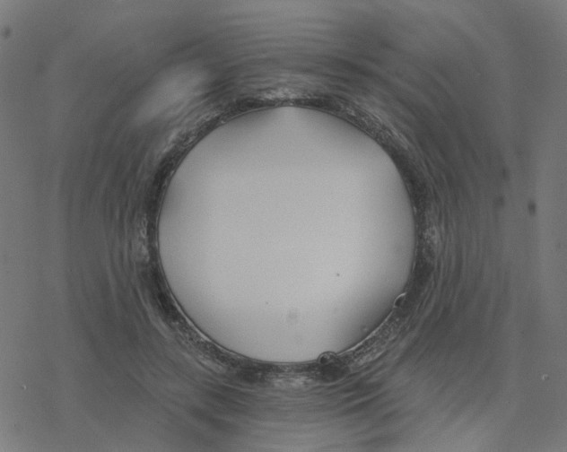 X0000078260547200612011657