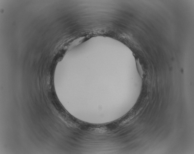 X0000078260548200612011657