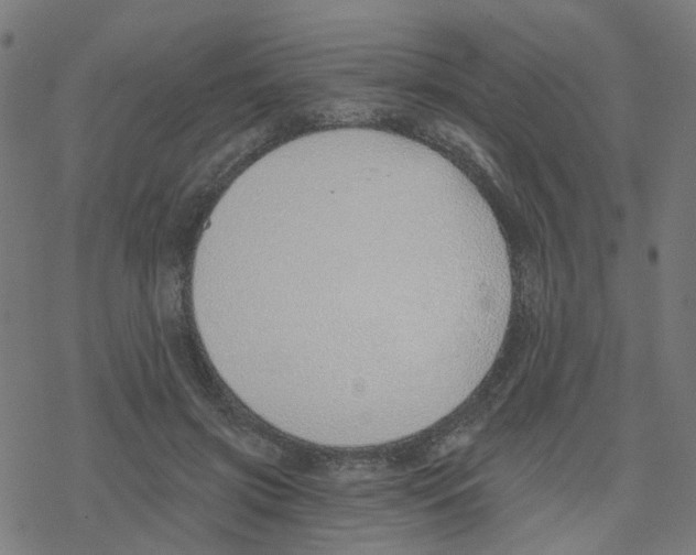 X0000078260549200612011657