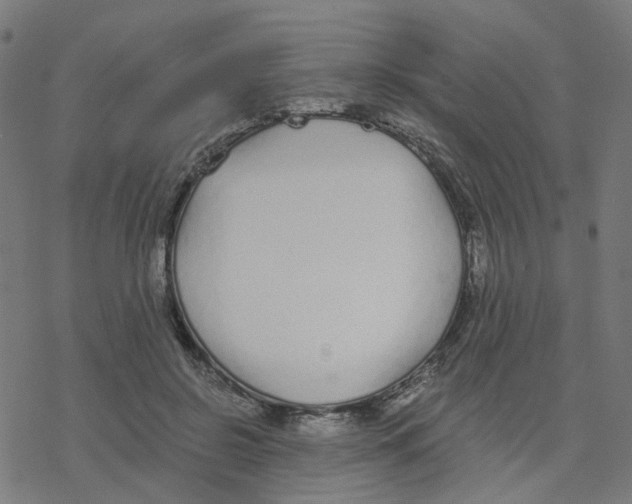 X0000078260550200612011657