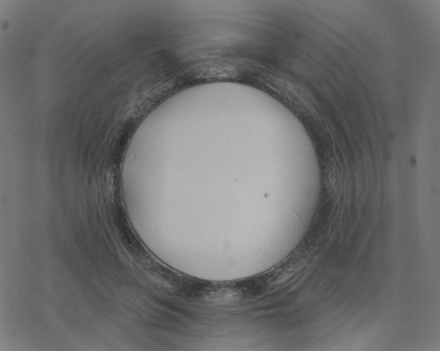 X0000078260551200612011657