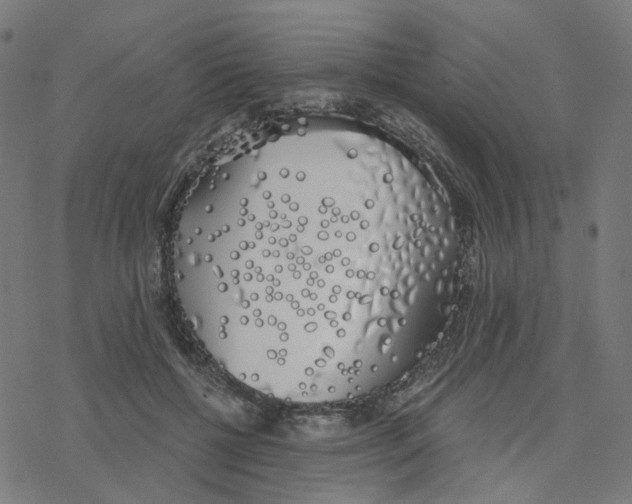 X0000078260552200612011657