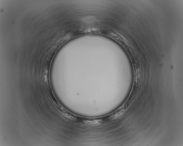 X0000078260553200612011657