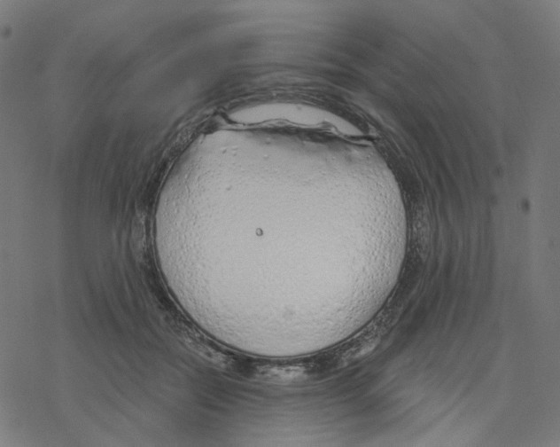 X0000078260554200612011657