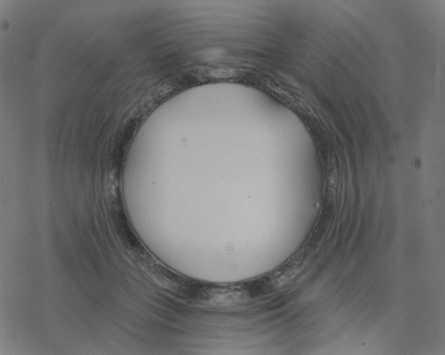 X0000078260555200612011657