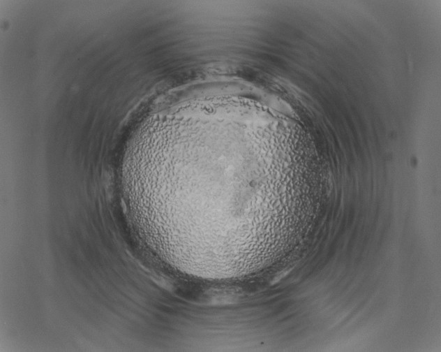 X0000078260556200612011657