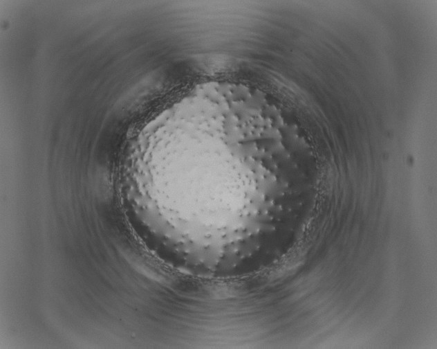 X0000078260558200612011657