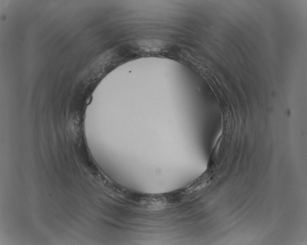 X0000078260559200612011657