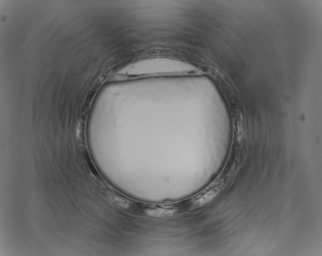 X0000078260561200612011657