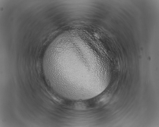 X0000078260562200612011657