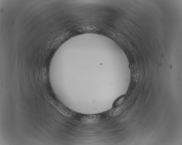 X0000078260563200612011657