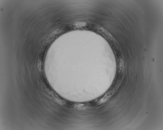 X0000078260565200612011657