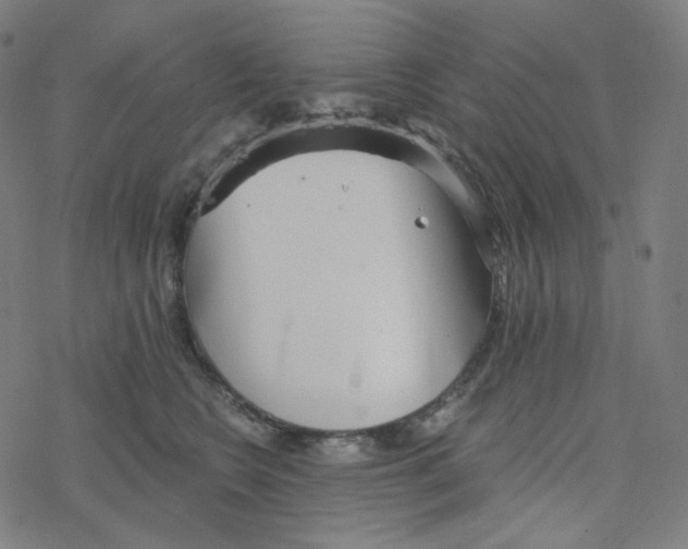 X0000078260566200612011657