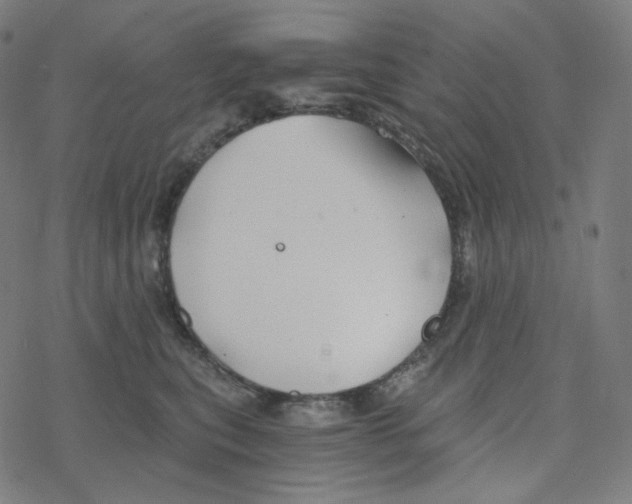 X0000078260567200612011657