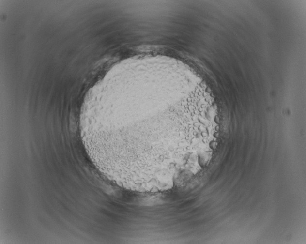 X0000078260569200612011657