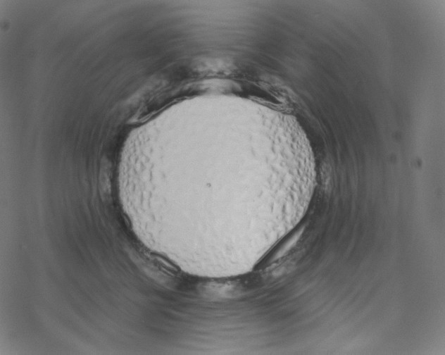 X0000078260570200612011657