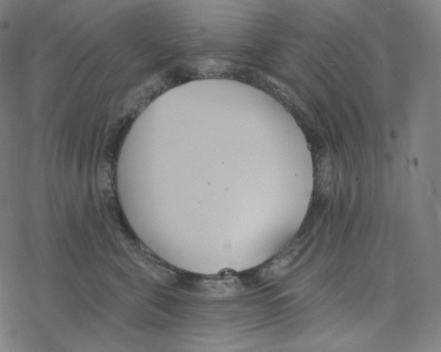 X0000078260571200612011657