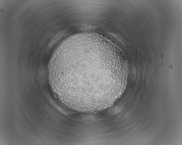 X0000078260572200612011657