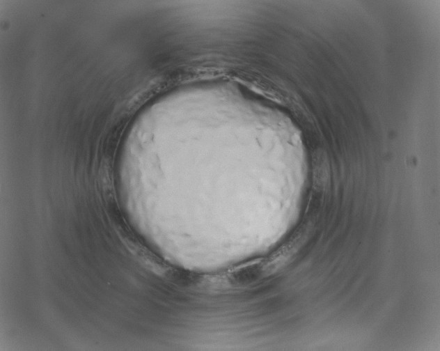 X0000078260573200612011657