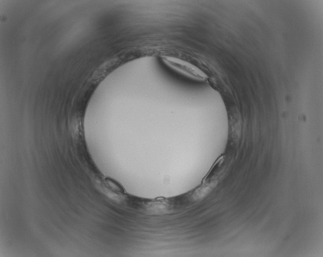 X0000078260574200612011657