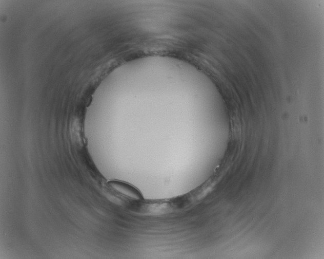 X0000078260575200612011657