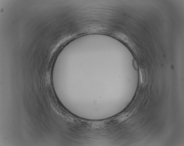 X0000078260579200612011656