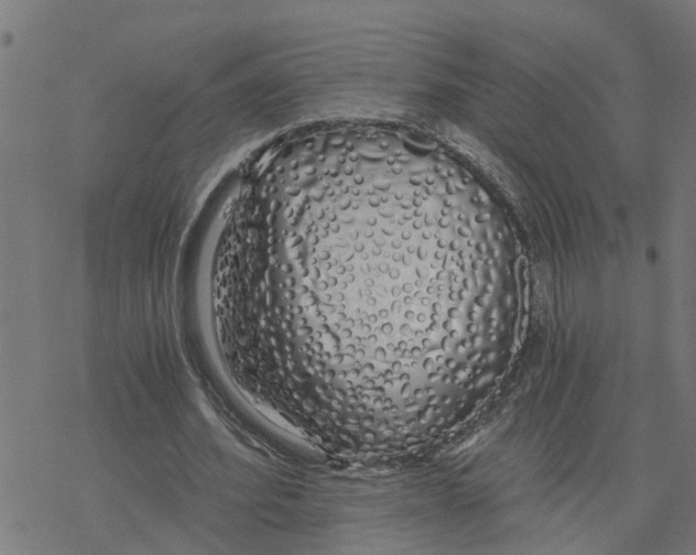 X0000078260580200612011656