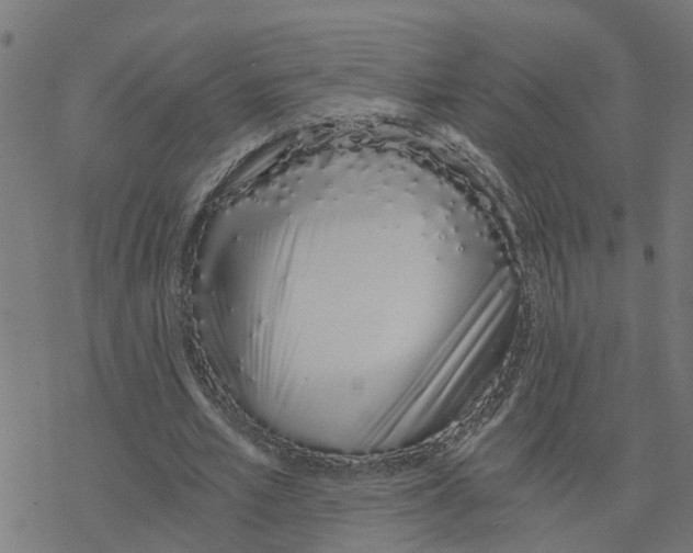 X0000078260581200612011656