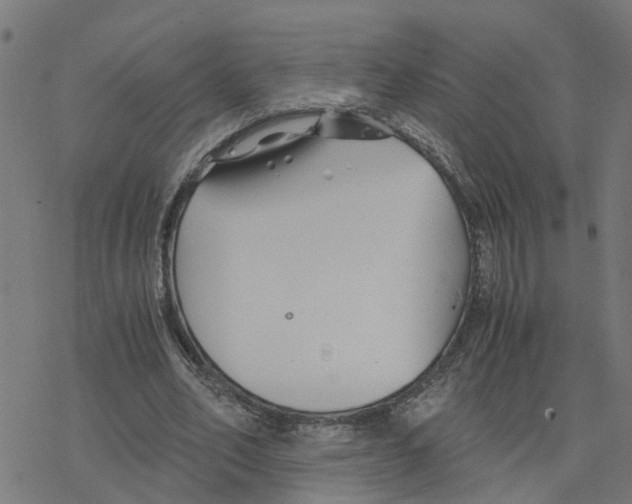 X0000078260582200612011656