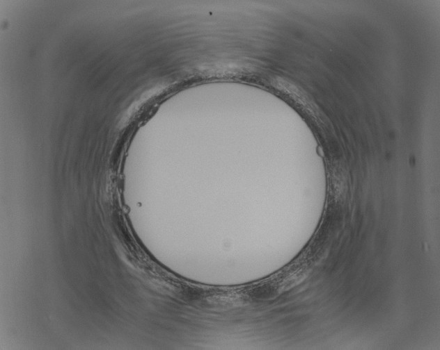 X0000078260583200612011656