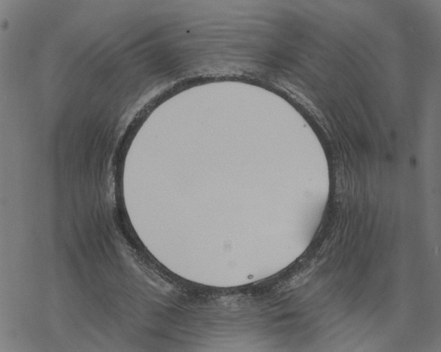 X0000078260584200612011656