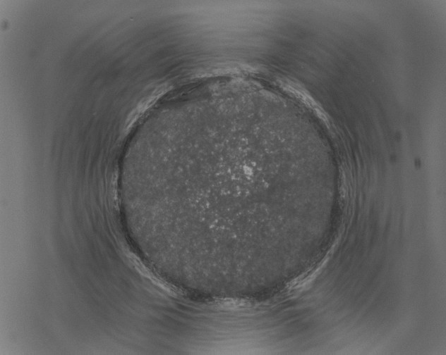 X0000078260585200612011656