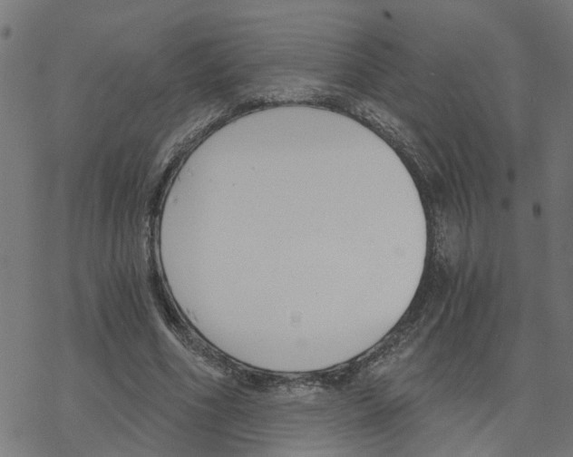 X0000078260586200612011656