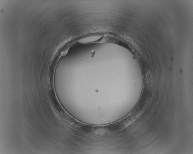 X0000078260587200612011656