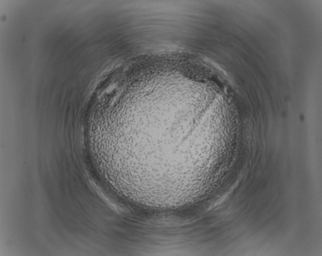 X0000078260589200612011656