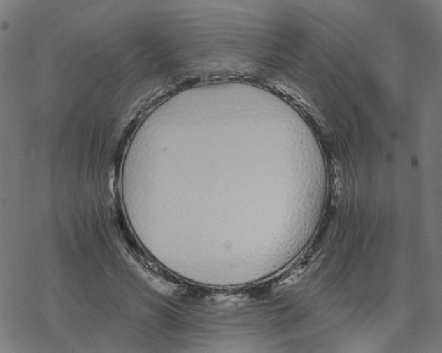 X0000078260590200612011656