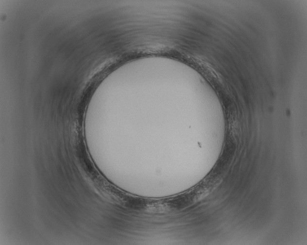 X0000078260591200612011656