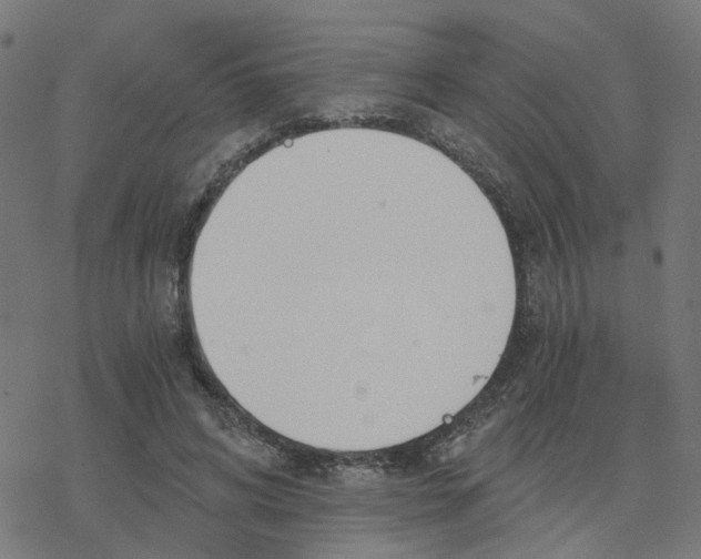 X0000078260592200612011656