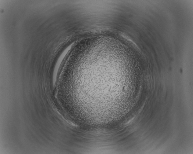 X0000078260593200612011656