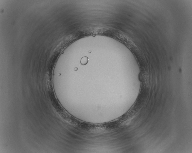 X0000078260594200612011656