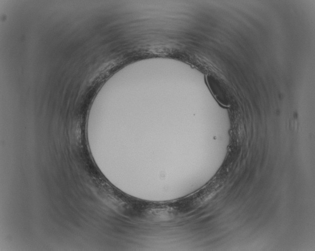 X0000078260595200612011656