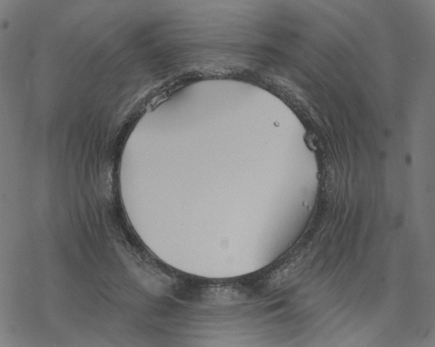 X0000078260596200612011656