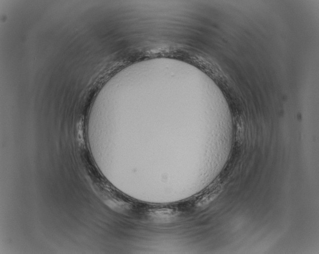 X0000078260598200612011656