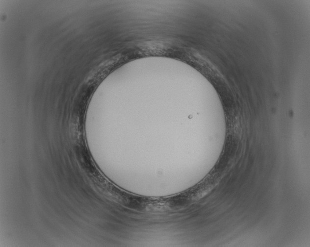 X0000078260599200612011656