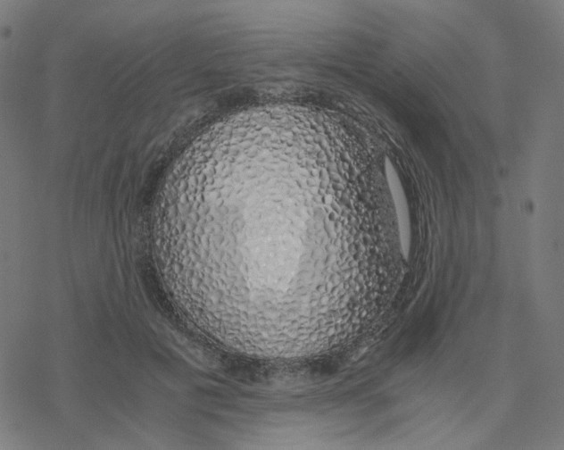 X0000078260601200612011656