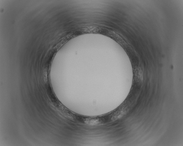 X0000078260602200612011656